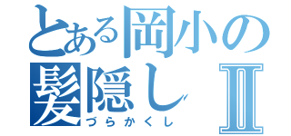 とある岡小の髪隠しⅡ（づらかくし）