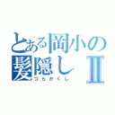 とある岡小の髪隠しⅡ（づらかくし）