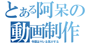 とある阿呆の動画制作（今夜はヤレる気がする）