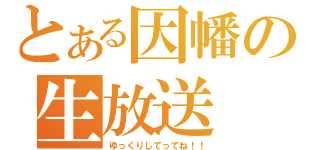 とある因幡の生放送（ゆっくりしてってね！！）