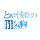 とある骸骨の肺気胸（２代目シャム）