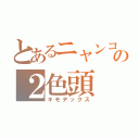 とあるニャンコの２色頭（キモデックス）