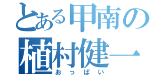 とある甲南の植村健一（おっぱい）