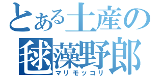 とある土産の毬藻野郎（マリモッコリ）