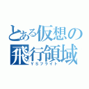 とある仮想の飛行領域（ＹＳフライト）