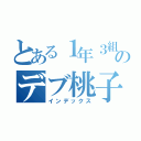 とある１年３組のデブ桃子（インデックス）