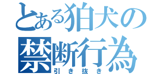 とある狛犬の禁断行為（引き抜き）