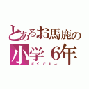 とあるお馬鹿の小学６年（ぼくですよ）