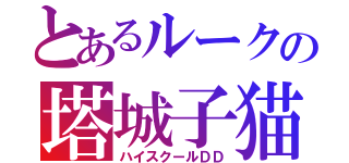 とあるルークの塔城子猫（ハイスクールＤＤ）