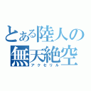 とある陸人の無天絶空（アクセリル）