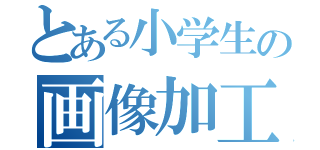 とある小学生の画像加工屋（）