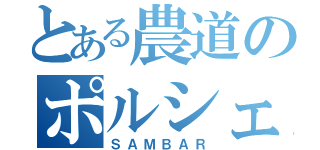 とある農道のポルシェ（ＳＡＭＢＡＲ）