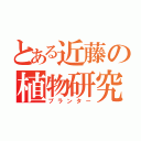 とある近藤の植物研究（プランター）