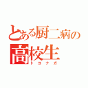 とある厨二病の高校生（トヨナガ）