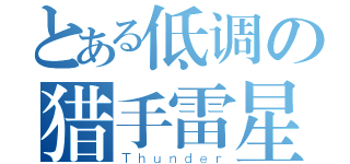 とある低调の猎手雷星（Ｔｈｕｎｄｅｒ）