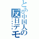 とある中国人の反日デモ（バカサワギ）