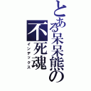 とある呆呆熊の不死魂Ⅱ（インデックス）