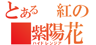 とある　紅の　紫陽花（ハイドレンジア）