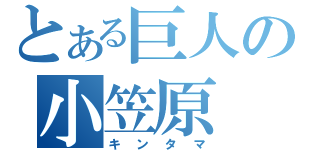 とある巨人の小笠原（キンタマ）