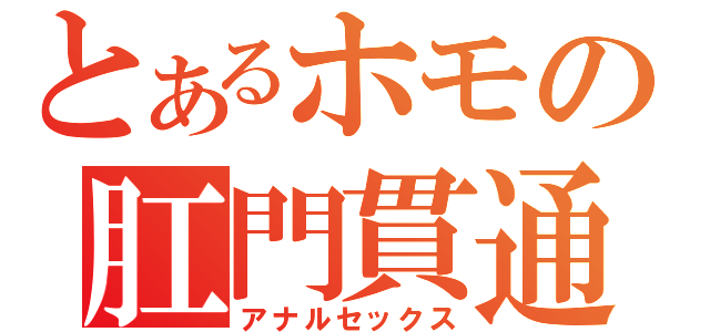 とあるホモの肛門貫通（アナルセックス）