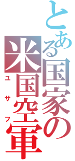 とある国家の米国空軍（ユサフ）