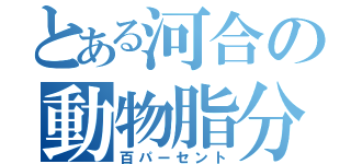 とある河合の動物脂分（百パーセント）