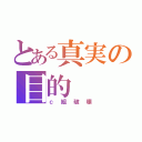 とある真実の目的（ｃ組破壊）