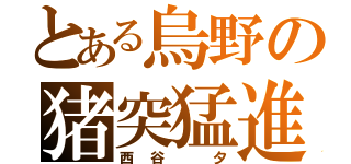 とある烏野の猪突猛進（西谷 夕）