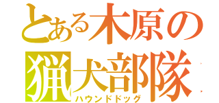 とある木原の猟犬部隊（ハウンドドッグ）