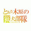 とある木原の猟犬部隊（ハウンドドッグ）