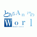 とあるＡｎｉｍｅのＷｏｒｌｄ（Ｅｘｐｅｒｉｅｎｃｅ）