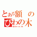 とある額のびわの木（生えちゃった（笑））