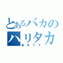 とあるバカのハリタカ（高井です）