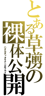 とある草彅の裸体公開（ハダカダッタラナニガワルイ）