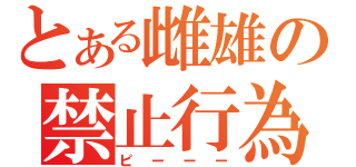 とある雌雄の禁止行為（ピーーー）