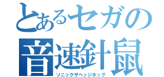 とあるセガの音速針鼠（ソニックザヘッジホッグ）