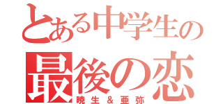 とある中学生の最後の恋（暁生＆亜弥）