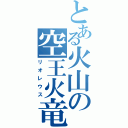 とある火山の空王火竜（リオレウス）