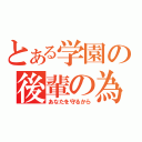 とある学園の後輩の為・・・（あなたを守るから）