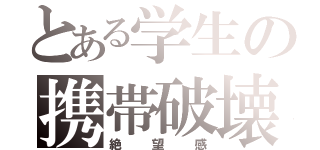 とある学生の携帯破壊（絶望感）