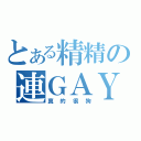 とある精精の連ＧＡＹ（真的很狗）