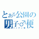 とある公園の男子♂便所（ハッテン場）