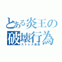 とある炎王の破壊行為（ストレス発散）