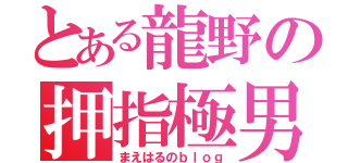 とある龍野の押指極男（まえはるのｂｌｏｇ）