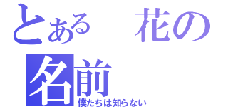 とある 花の名前（僕たちは知らない）