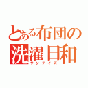 とある布団の洗濯日和（サンデイズ）