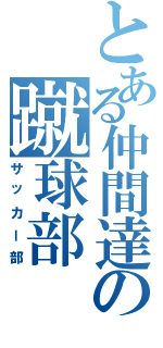 とある仲間達の蹴球部（サッカー部）