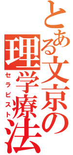 とある文京の理学療法（セラピスト）