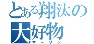 とある翔汰の大好物（マーリン）