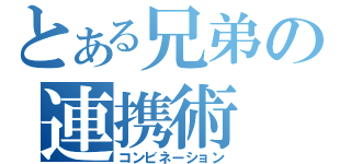 とある兄弟の連携術（コンビネーション）